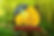 10014.jpg