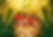 TikiPop.png
