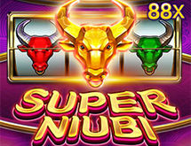 SuperNuibi